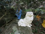 IMG_0607