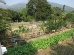 IMG_0609