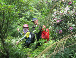 IMG_3587c