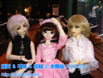 bjd6