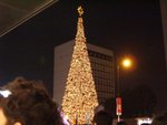 中環既大大聖誕樹呀!好宏偉呀!好靚呀!