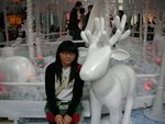 DSCN3526