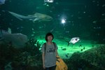 Sydney Aquarium