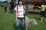 Sheep racing