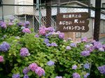 河口湖天上山公園