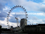 IMG_0736s