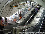 IMG_0778ss
