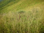 18Oct09KaiKungLeng 103