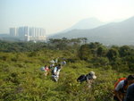 DSC09898