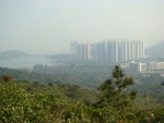 DSC09905