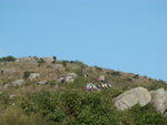 DSC09917