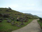 DSC04236