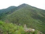 DSC05973