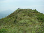 DSC06008