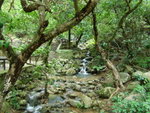 DSC06063