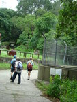 DSC06065