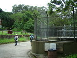 DSC06066