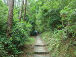 DSC06071