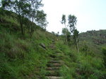 DSC06083