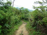 DSC06131