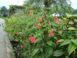 DSC06139