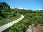 DSC08856