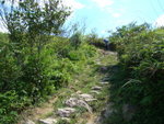 DSC08859