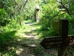 DSC08871