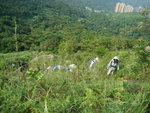 DSC09945