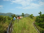 DSC01334