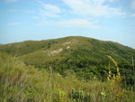 DSC01421