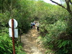 DSC02071