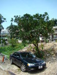 DSC02097