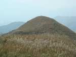 DSC03410