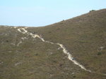 DSC05848