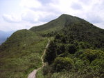 RIMG0013