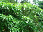 DSC00400