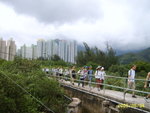 SUC51555