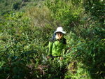 DSC05123