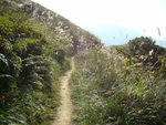 DSC06162