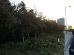 DSC06190