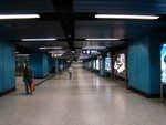 DSC01613