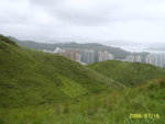 SUC53947