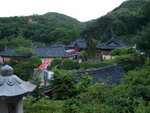 P5200019