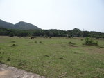 DSC03120