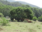 DSC03121