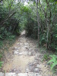 DSC03165
