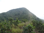 DSC03947