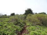 DSC03949
