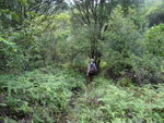DSC03954